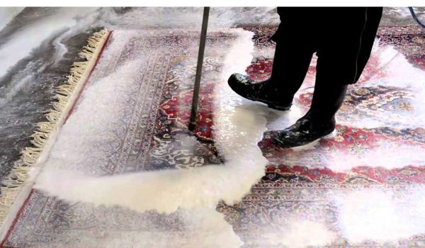 Carpet Clean sari